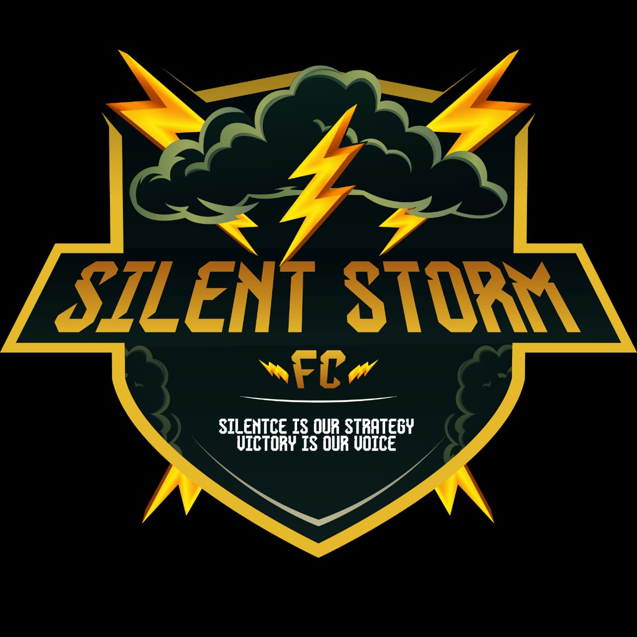Logo of Silent Storm Fc