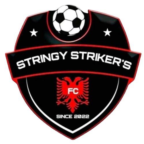 Stringy Striker's Efootball Club