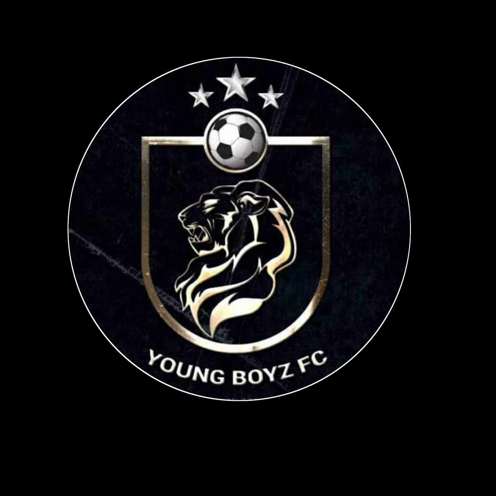 Young Boys FC