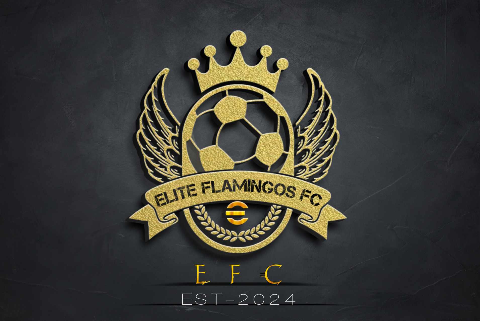 Elite Flamingos Fc