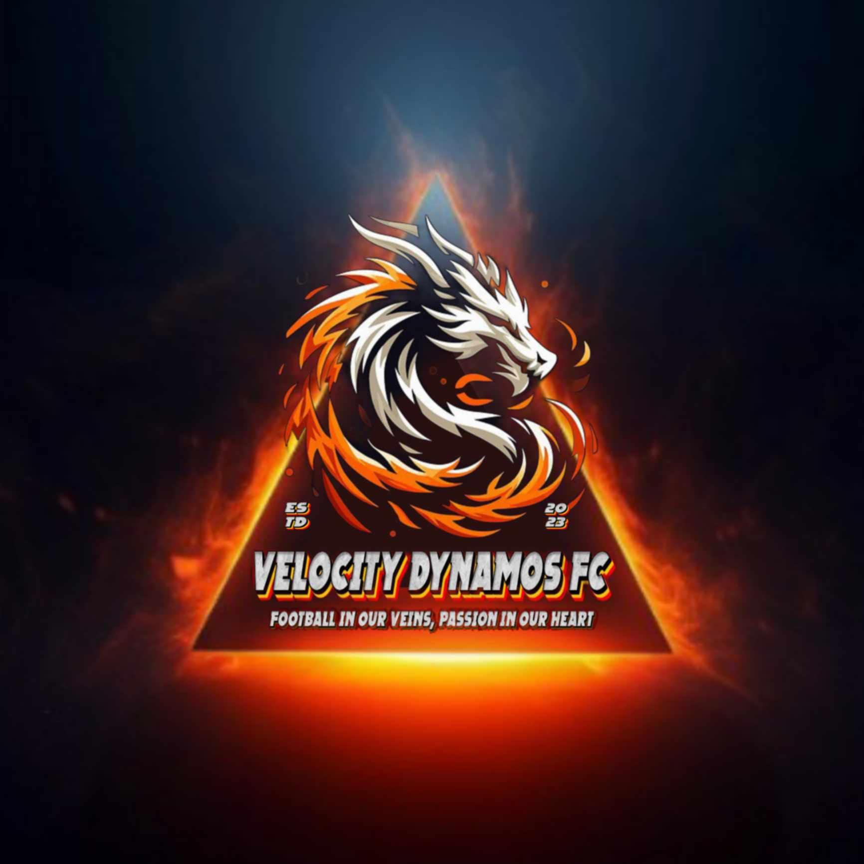 Velocity Dynamos Fc