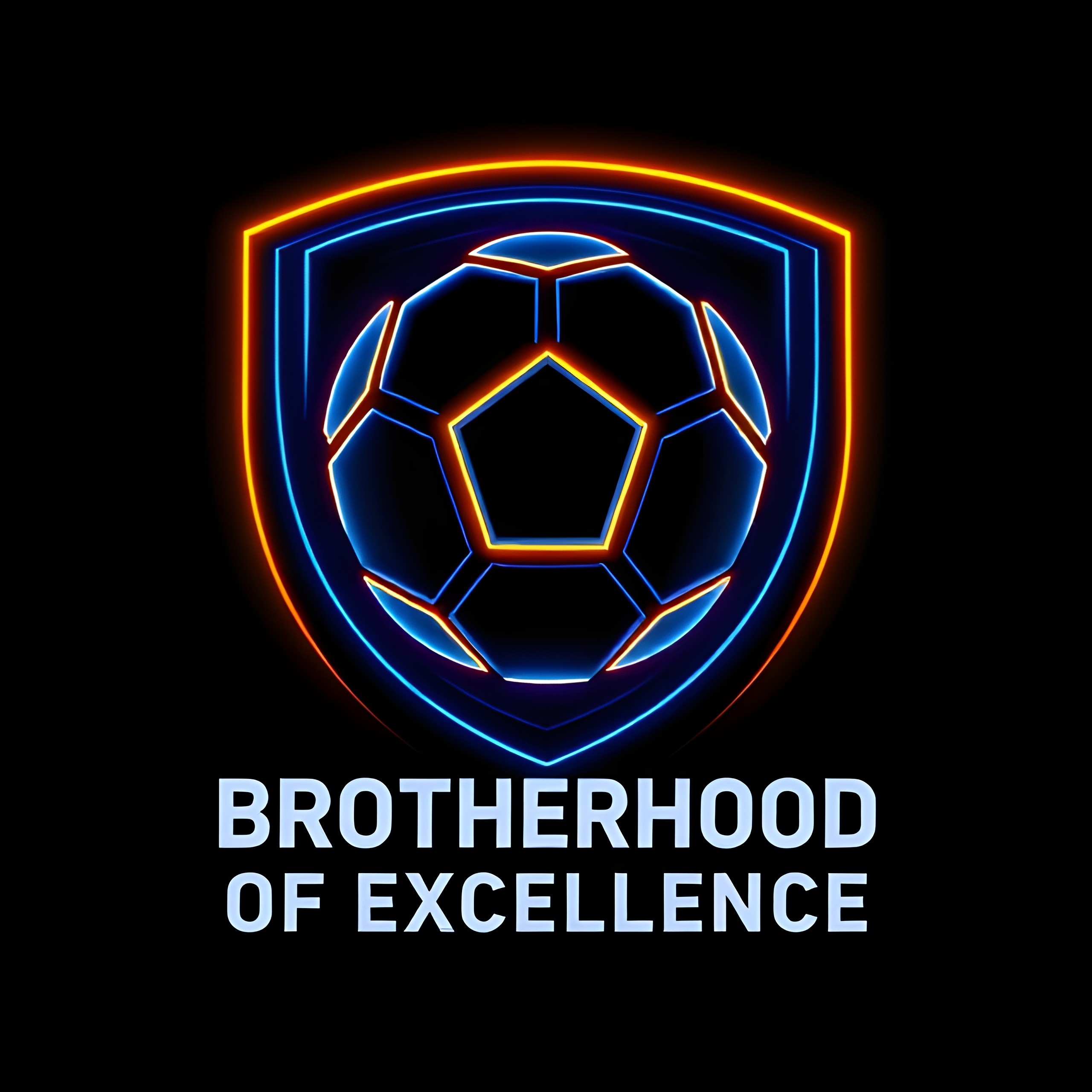 Brotherhood of Excellence