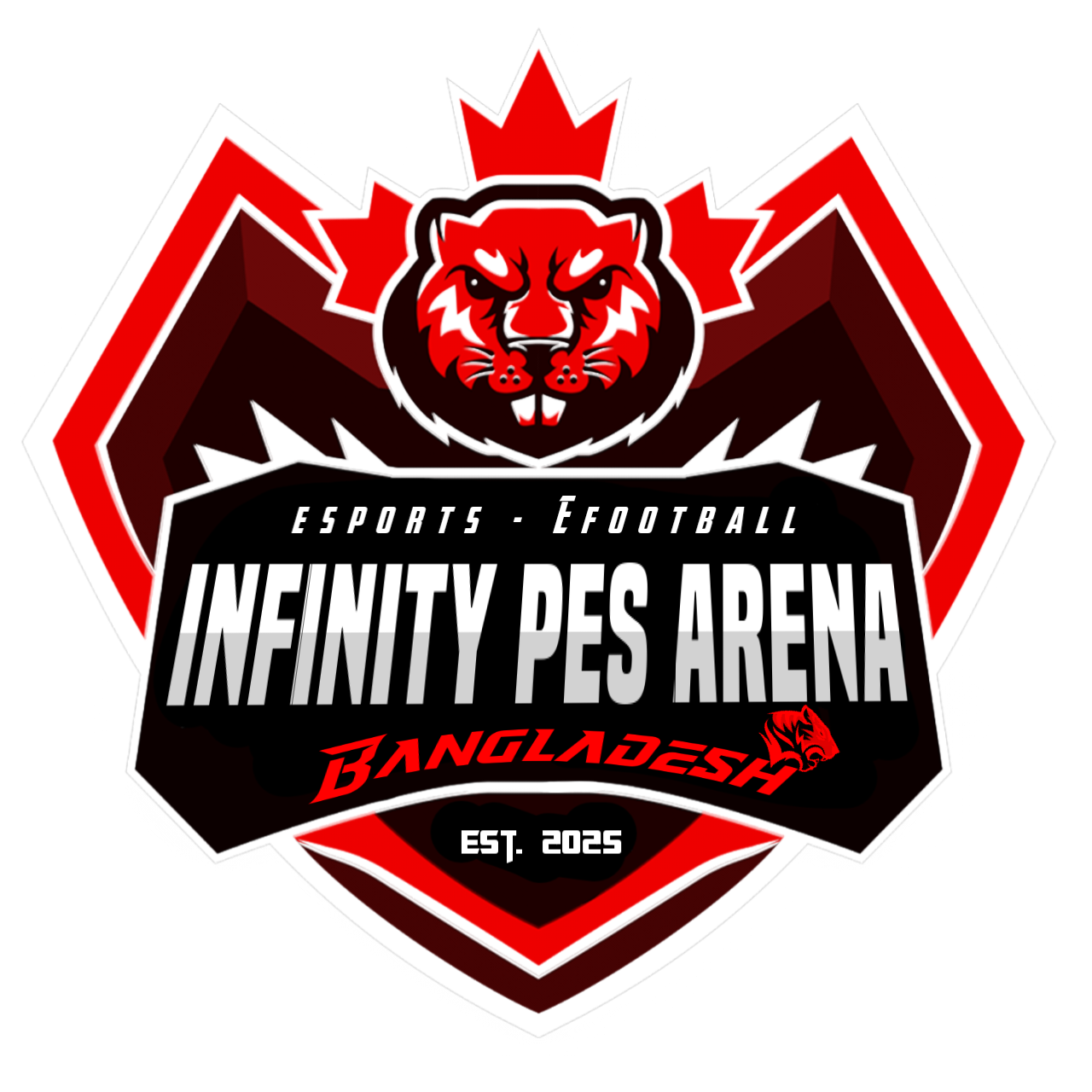 Infinity Pes Arena