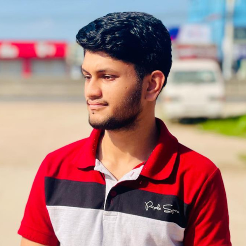 Photo of Fardin Afsar